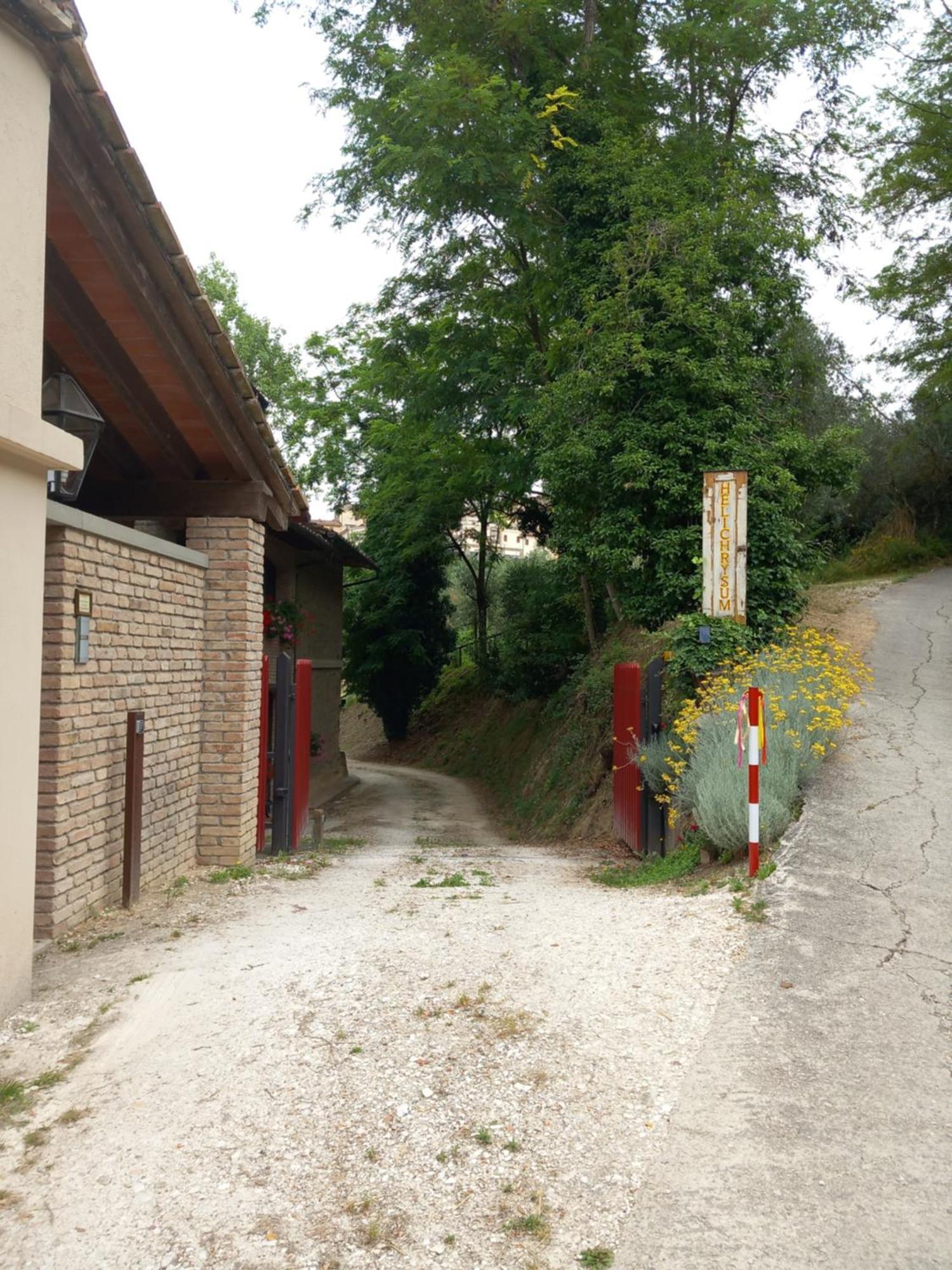Helichrysum Panzió Vinci Kültér fotó