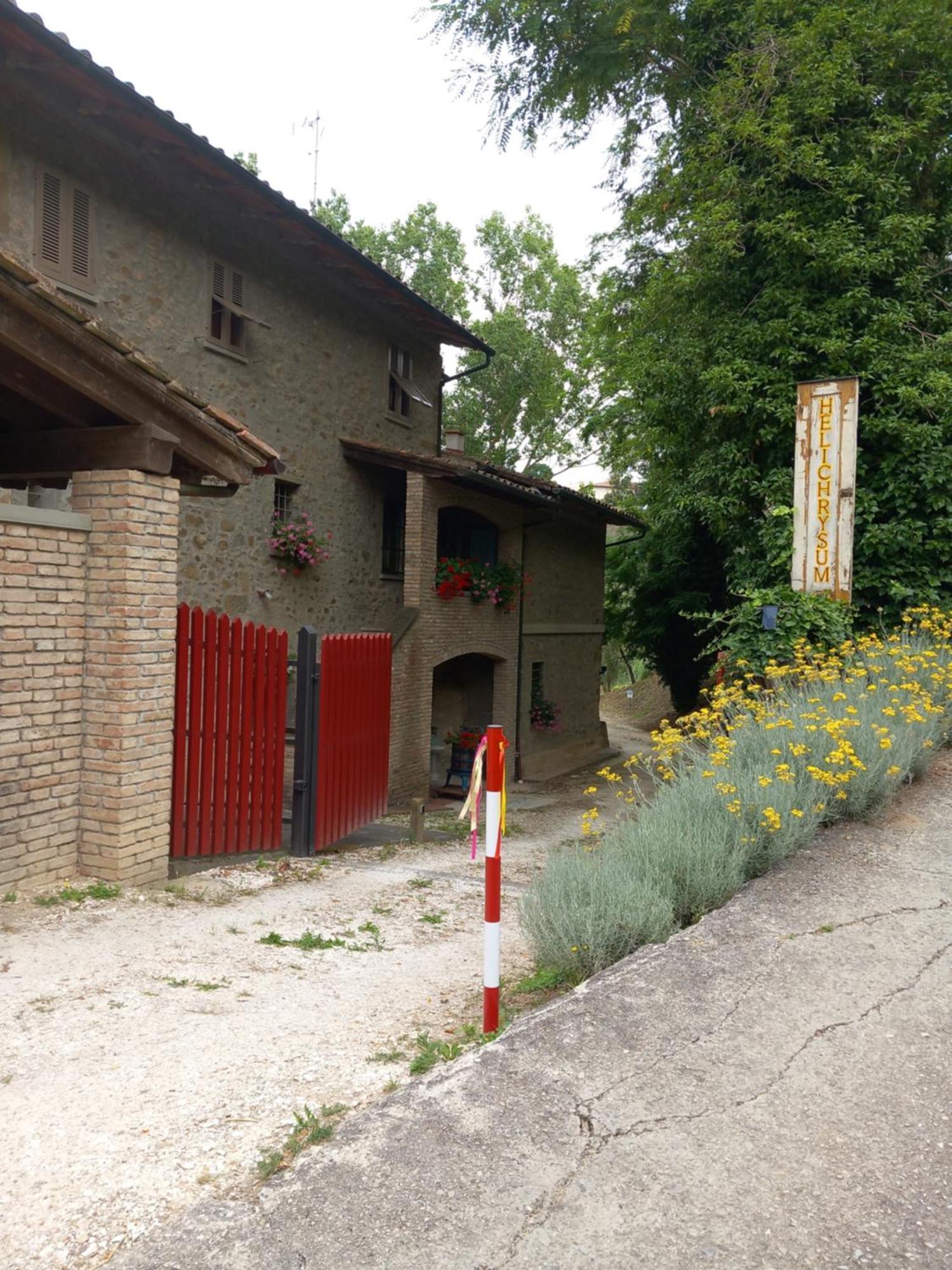 Helichrysum Panzió Vinci Kültér fotó